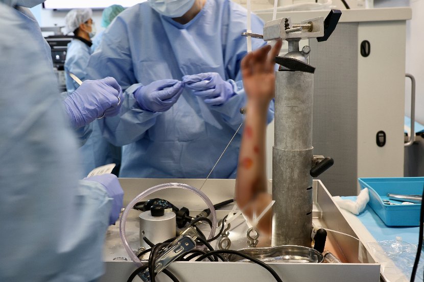 HK Wrist Course 2024 - Workshops  - 104 of 241